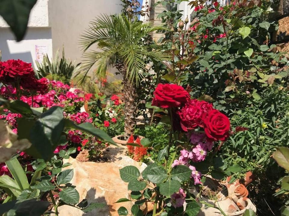 Athina Residence Lentas Bagian luar foto